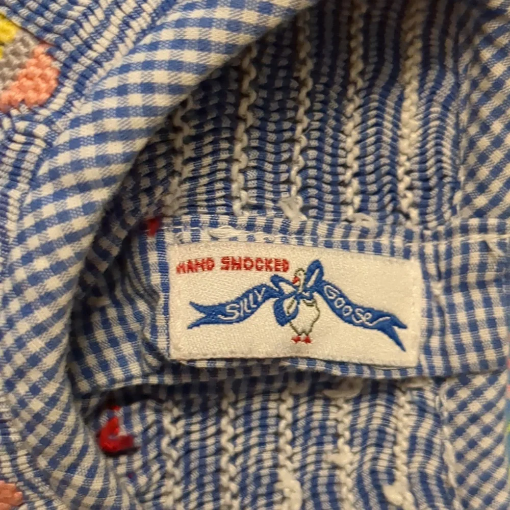 Silly Goose Back to School Smocked Dress - Picture 7 of 7
